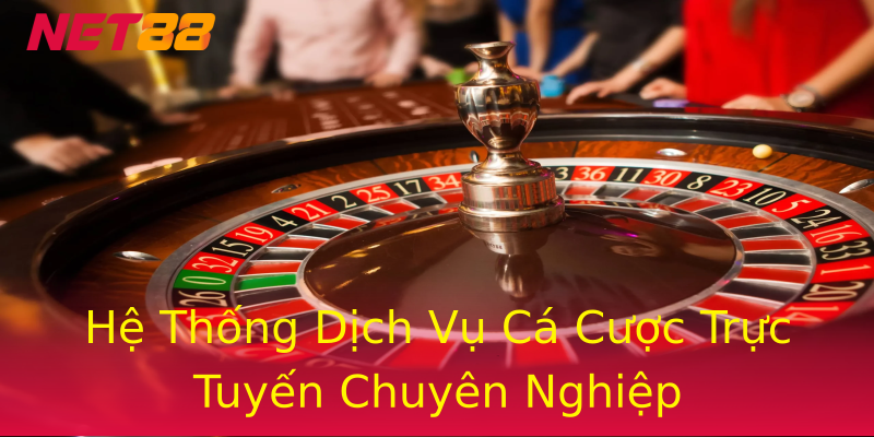 Hệ Thống Dịch Vụ Cá Cược Trực Tuyến Chuyên Nghiệp Hệ Thống Dịch Vụ Cá Cược Trực Tuyến Chuyên Nghiệp