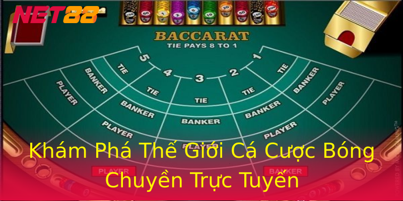 Khám Phá Thế Giới Cá Cược Bóng Chuyền Trực Tuyến Khám Phá Thế Giới Cá Cược Bóng Chuyền Trực Tuyến